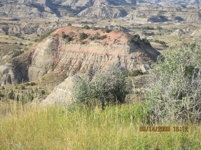 [IMG_20882.jpg]