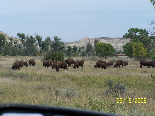 [100_56502.jpg]