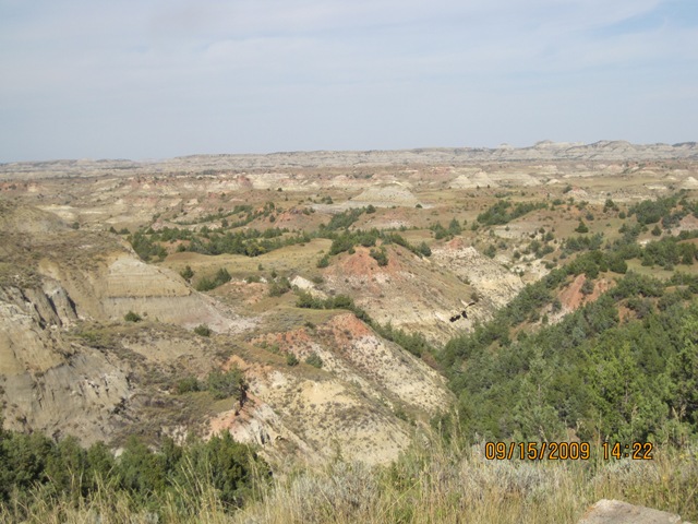 [IMG_21152.jpg]