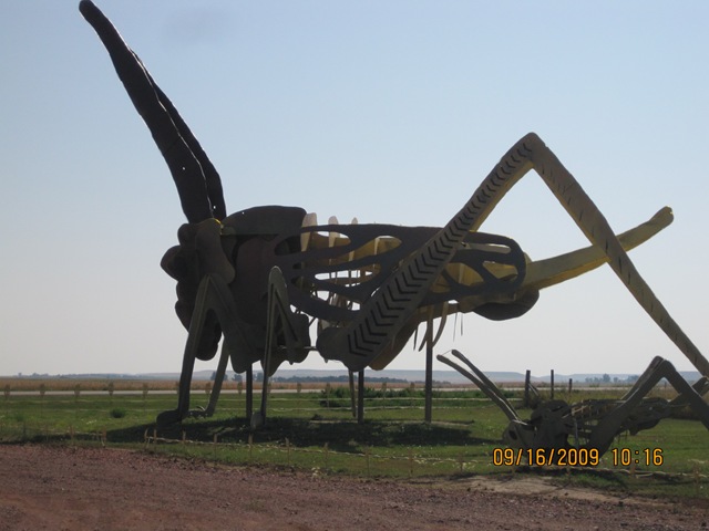 [IMG_21342.jpg]