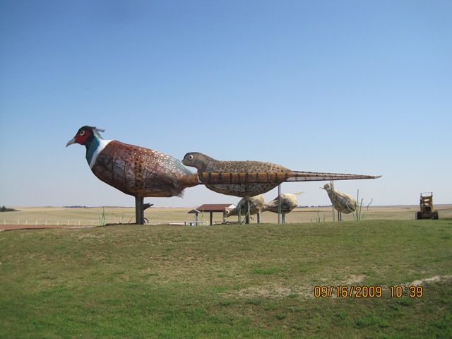 [IMG_21502.jpg]
