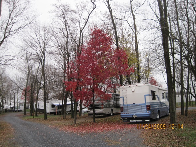 [IMG_24962.jpg]