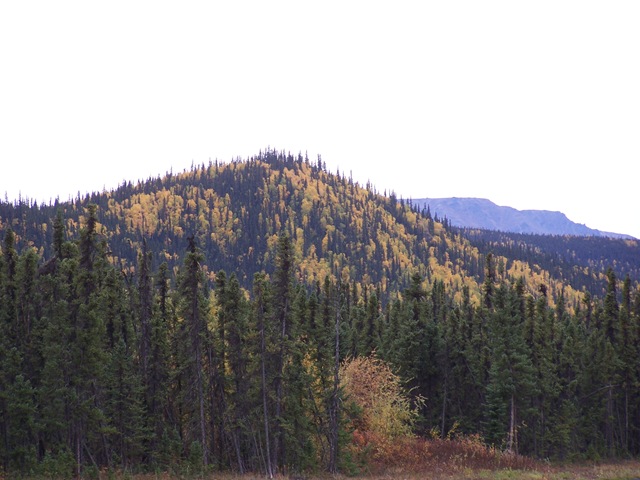 [100_05212.jpg]
