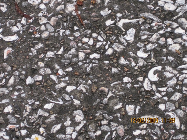 [IMG_25302.jpg]