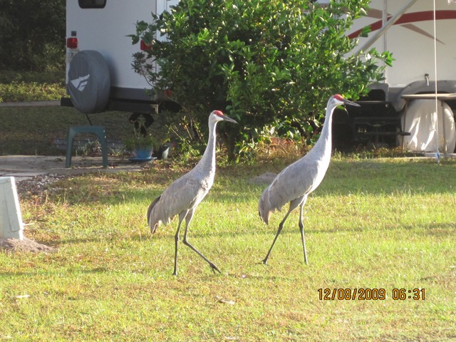 [IMG_25552.jpg]