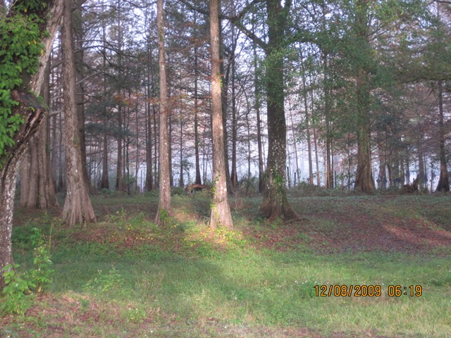 [IMG_25512.jpg]