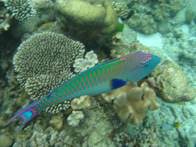 [SydMillett4052.jpg]