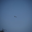 DSC_0133.JPG