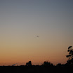 DSC_0238.JPG