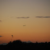 DSC_0243.JPG