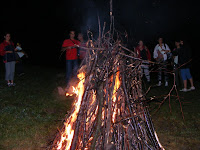 Picture 907.jpg