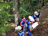 DSCF6206.jpg