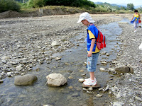 DSCF6540.jpg
