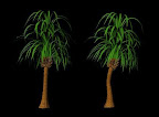 another tree