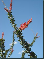 DSCN1100
