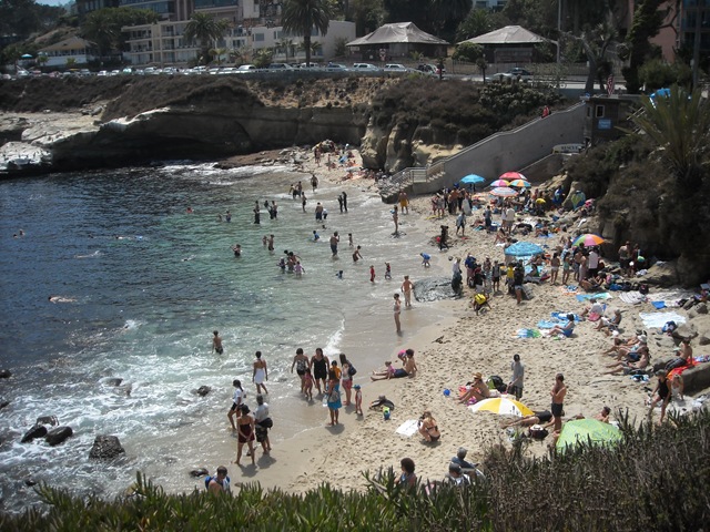 [DSCN06782.jpg]