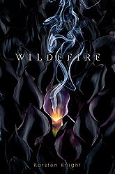 [wildefire4.jpg]