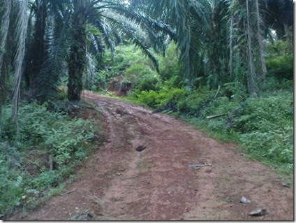 Offroad 3