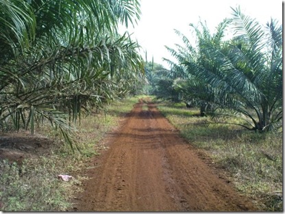Offroad 6