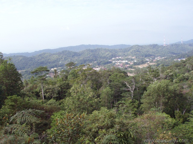 [P7150547[3].jpg]
