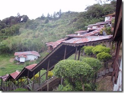 PA230402 PA230402