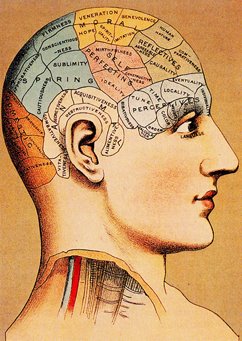 [phrenology.jpg]