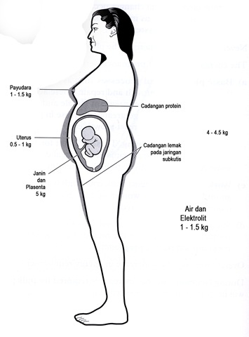 [3. Distribusi kenaikan berat badan ibu hamil[4].jpg]