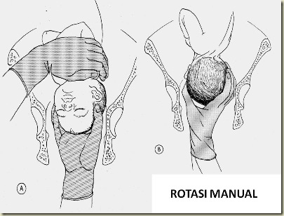 rOTASI mANUAL rOTASI mANUAL