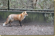 IMG_0344 IMG_0344