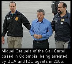 drug arrest