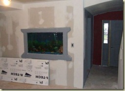 fish tank in wall 3 fish tank in wall 3