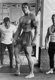 arnold_schwarzenegger calves arnold_schwarzenegger calves