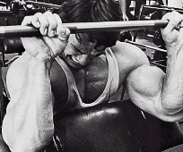 arnold-forearms