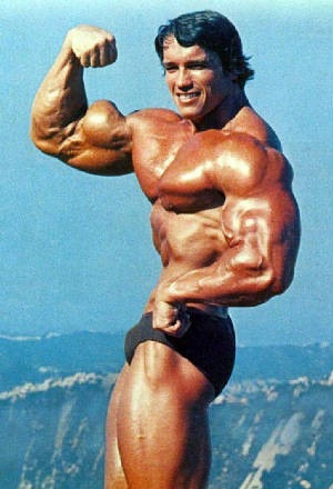 [Arnold Schwarzenegger bicep pose[1].jpg]