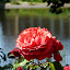 P1050613.JPG