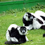 P1050035.jpg P1050035.jpg