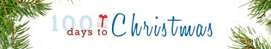 [100daystochristmasbanner4.gif]