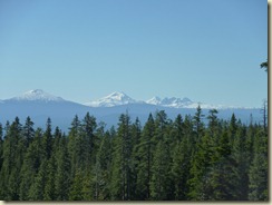 P1000616