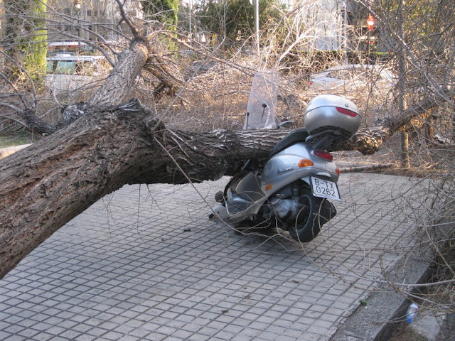 Image00034.jpg