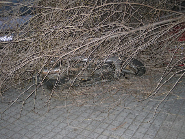 Image00057.jpg