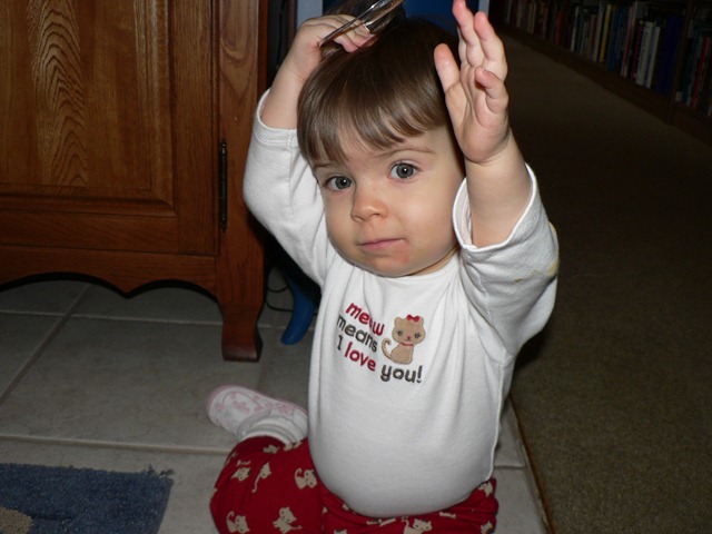 [Feb 4 2010 031[8].jpg]