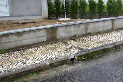 Banho no passeio.jpg