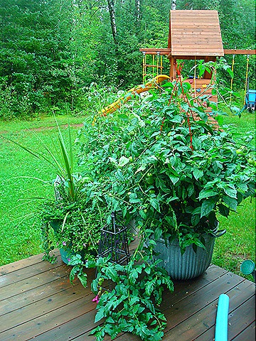 [home 069[4].jpg]