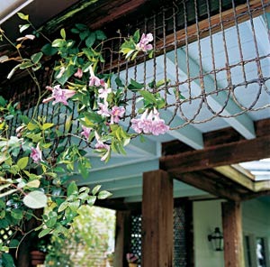 [garden valance[5].jpg]