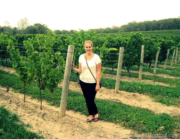 heathvineyards