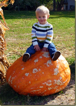 pumpkin19