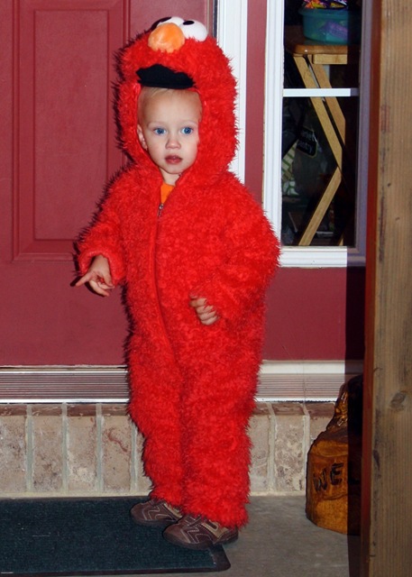 [Elmo 2[7].jpg]