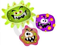 [germs[4].jpg]