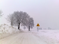 20100201461.jpg