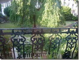 DSCF7509